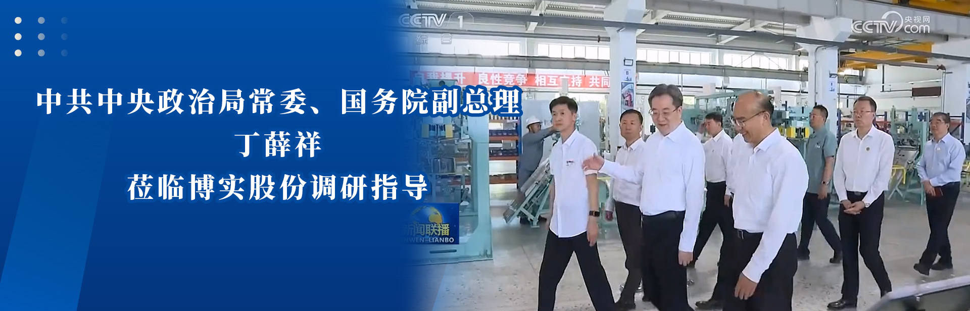 副总理莅临博实